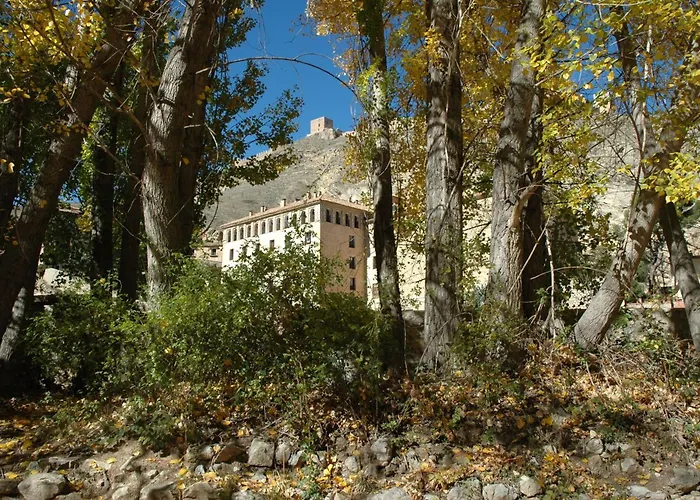 酒店 阿拉伯酒店 2*